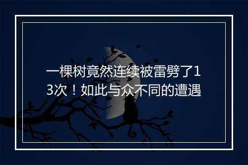 一棵树竟然连续被雷劈了13次！如此与众不同的遭遇
