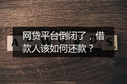 网贷平台倒闭了，借款人该如何还款？