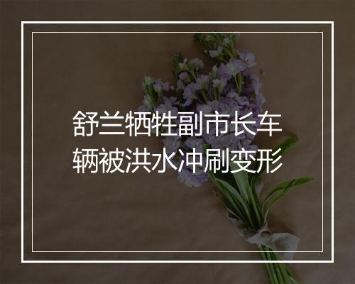 舒兰牺牲副市长车辆被洪水冲刷变形