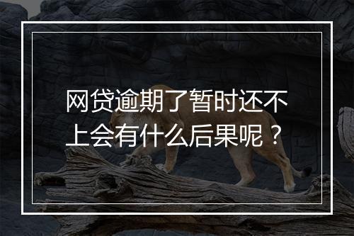 网贷逾期了暂时还不上会有什么后果呢？