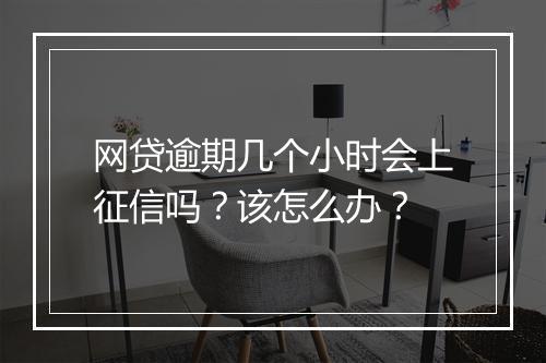 网贷逾期几个小时会上征信吗？该怎么办？