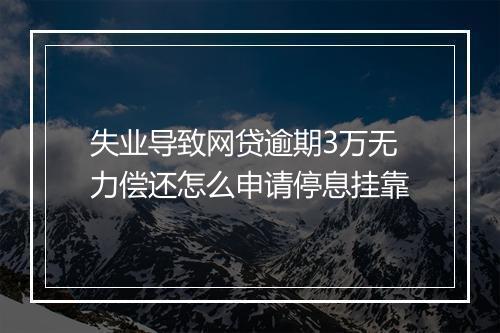 失业导致网贷逾期3万无力偿还怎么申请停息挂靠