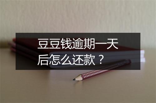 豆豆钱逾期一天后怎么还款？