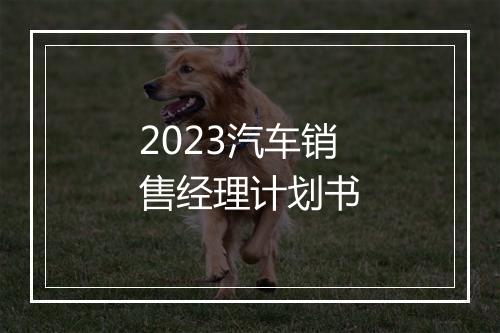 2023汽车销售经理计划书
