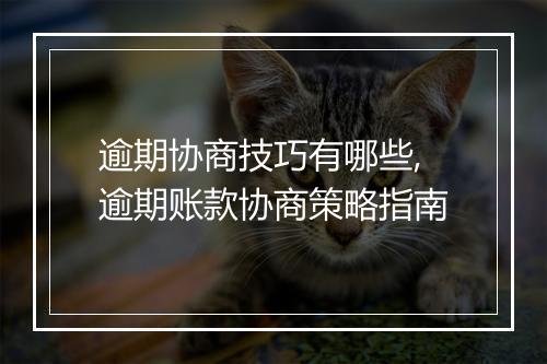 逾期协商技巧有哪些,逾期账款协商策略指南