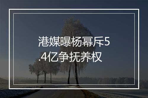 港媒曝杨幂斥5.4亿争抚养权