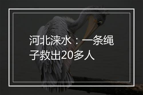 河北涞水：一条绳子救出20多人
