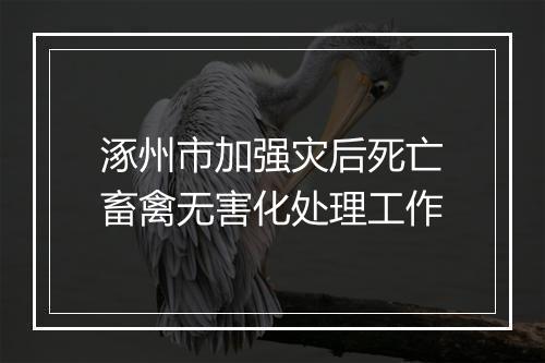 涿州市加强灾后死亡畜禽无害化处理工作