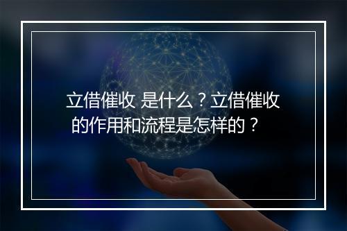 立借催收 是什么？立借催收 的作用和流程是怎样的？