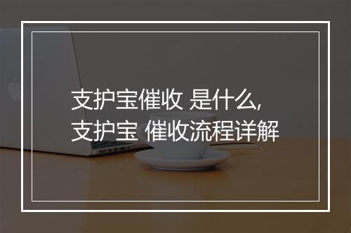 支护宝催收 是什么,支护宝 催收流程详解