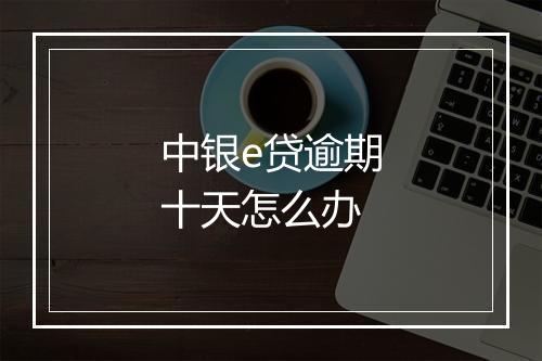中银e贷逾期十天怎么办