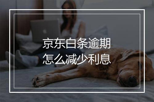 京东白条逾期怎么减少利息