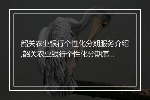 韶关农业银行个性化分期服务介绍,韶关农业银行个性化分期怎么申请