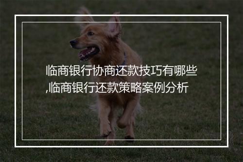临商银行协商还款技巧有哪些,临商银行还款策略案例分析