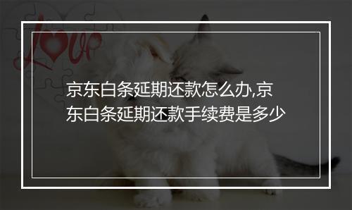 京东白条延期还款怎么办,京东白条延期还款手续费是多少