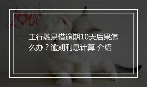 工行融易借逾期10天后果怎么办？逾期利息计算 介绍