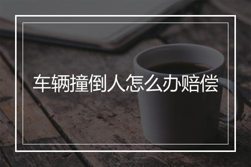 车辆撞倒人怎么办赔偿
