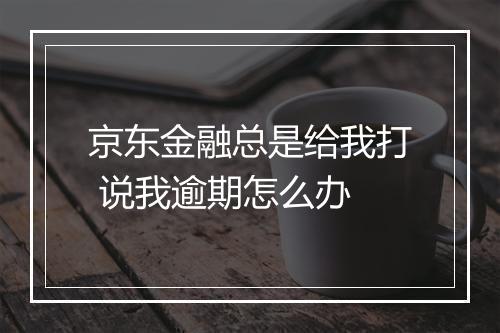 京东金融总是给我打 说我逾期怎么办
