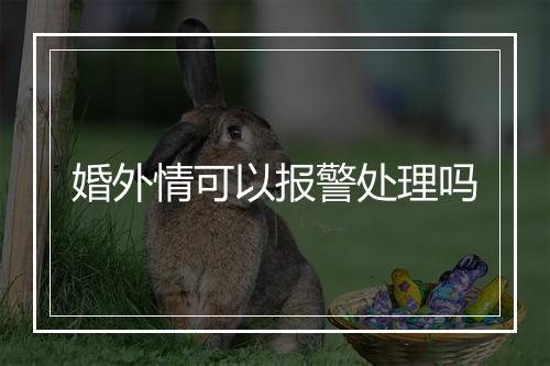 婚外情可以报警处理吗