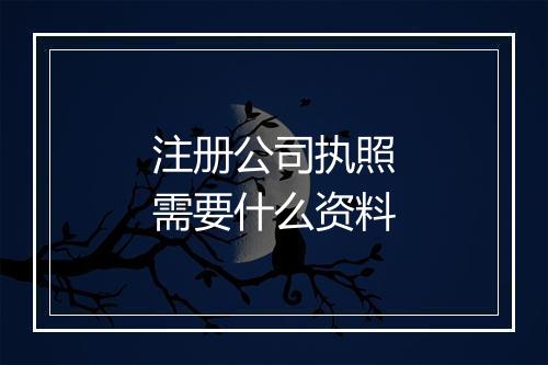 注册公司执照需要什么资料