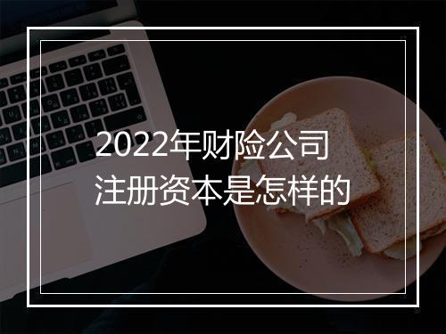 2022年财险公司注册资本是怎样的