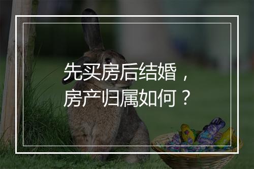 先买房后结婚，房产归属如何？