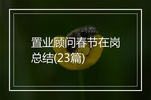 置业顾问春节在岗总结(23篇)
