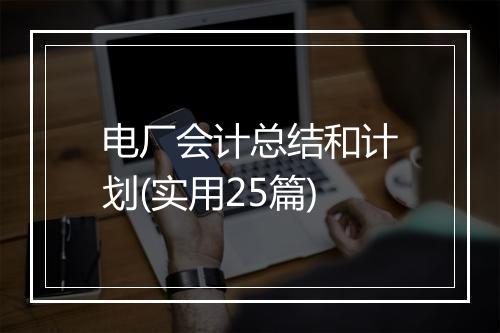电厂会计总结和计划(实用25篇)