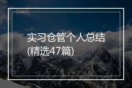 实习仓管个人总结(精选47篇)