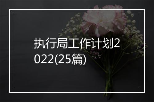 执行局工作计划2022(25篇)