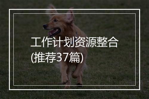 工作计划资源整合(推荐37篇)