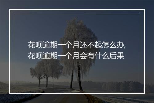 花呗逾期一个月还不起怎么办,花呗逾期一个月会有什么后果