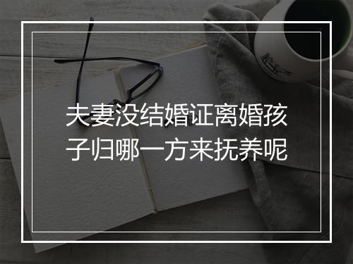 夫妻没结婚证离婚孩子归哪一方来抚养呢