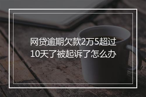 网贷逾期欠款2万5超过10天了被起诉了怎么办