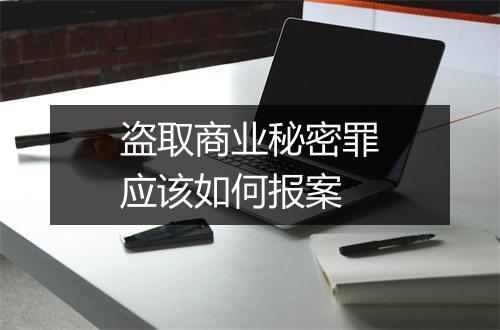 盗取商业秘密罪应该如何报案