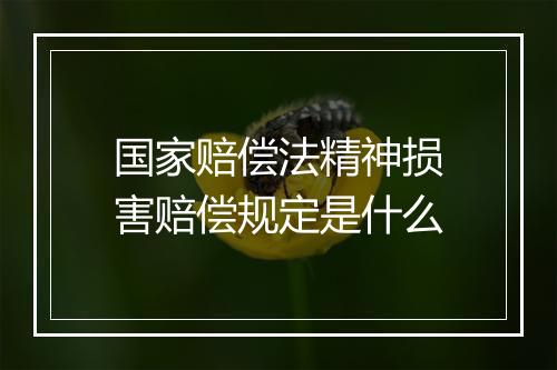 国家赔偿法精神损害赔偿规定是什么