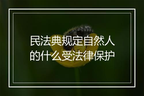民法典规定自然人的什么受法律保护