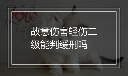 故意伤害轻伤二级能判缓刑吗