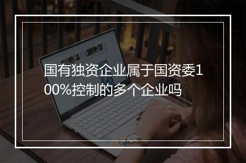 国有独资企业属于国资委100%控制的多个企业吗