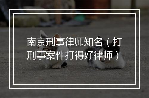 南京刑事律师知名（打刑事案件打得好律师）