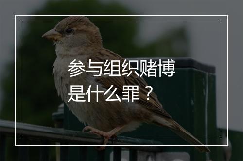 参与组织赌博是什么罪？