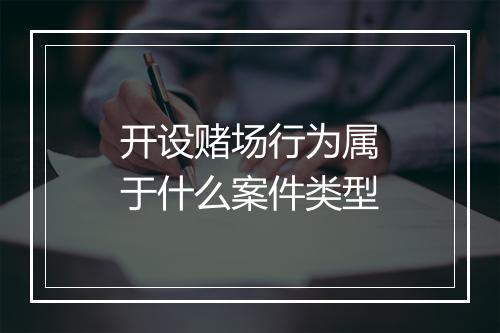 开设赌场行为属于什么案件类型