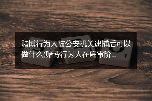 赌博行为人被公安机关逮捕后可以做什么(赌博行为人在庭审阶段应当如何做)