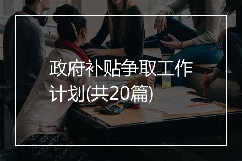 政府补贴争取工作计划(共20篇)