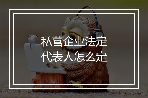 私营企业法定代表人怎么定