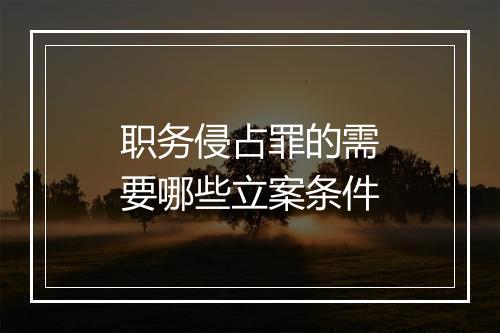 职务侵占罪的需要哪些立案条件