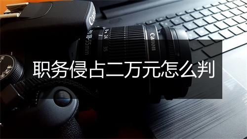 职务侵占二万元怎么判