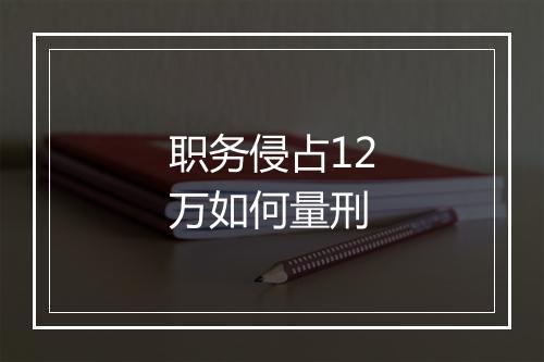 职务侵占12万如何量刑