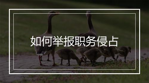 如何举报职务侵占