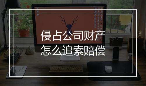 侵占公司财产怎么追索赔偿